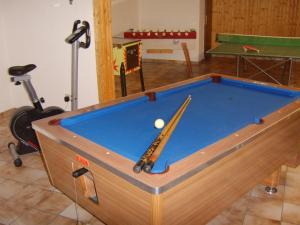 奥尔斯贝格Haus Cristallo的房间里的台球桌和球
