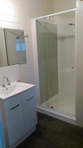 布赖特阿格里度假公寓的一间带水槽和玻璃门淋浴的浴室