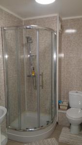 卡莱尔Warwick Lodge的带淋浴和卫生间的浴室