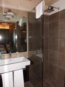 瓦莱迪卡多雷Dolomiti Lodge Villa Gaia的一间带水槽和淋浴的浴室
