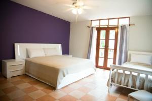 孔塔多拉孔塔多拉岛酒店的卧室设有紫色墙壁、床和窗户