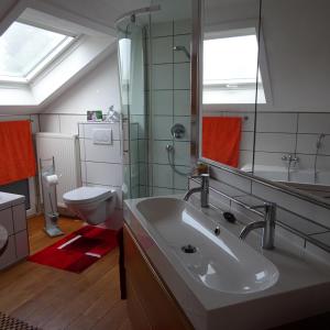 博登斯边的伊门施塔特Wohlfühlhaus Immenstaad的一间带水槽、卫生间和镜子的浴室