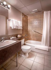 卡姆罗斯Days Inn & Conference Centre by Wyndham Camrose Norsemen的浴室配有卫生间、浴缸和水槽。