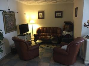 阿维拉萨尔瓦多德尔皮纳尔旅馆的客厅配有两张沙发和一台电视机