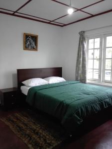 努沃勒埃利耶佩德罗景观民宿的一间卧室配有一张带绿毯的床