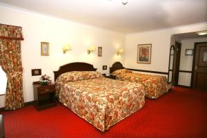 巴利香农多里安斯帝国酒店的酒店客房,设有两张床,铺有红地毯。
