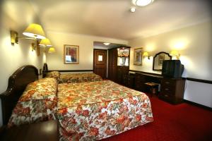 巴利香农多里安斯帝国酒店的酒店客房,配有床和电视