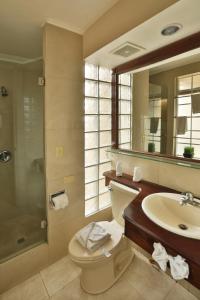 特古西加尔巴Minister Business Hotel的一间带卫生间、水槽和镜子的浴室