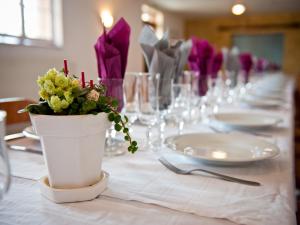 VervinsLogis Hotel Restaurant Le Relais Fleuri的一张桌子,上面有种盆栽植物,放在白色桌布上