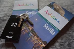 塞维利亚阿拉玛雷酒店的信用卡上一对钥匙