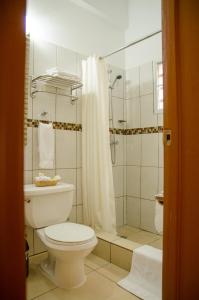 菲利普斯堡艾丽西亚旅馆的一间带卫生间和淋浴的浴室