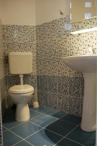 萨图马雷Casa Boer的一间带卫生间和水槽的浴室