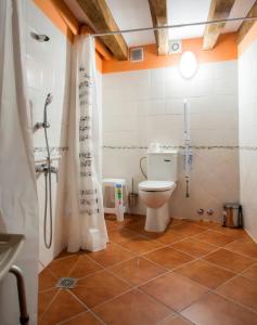 罗夫莱迪略德加塔Molino del Medio的一间带卫生间和淋浴的浴室