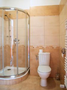 库亚维地区索莱茨Hotel Restauracja Autos的一间带卫生间和淋浴的浴室