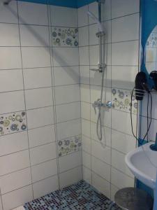 阿姆博斯格温多林公寓 的带淋浴和盥洗盆的浴室