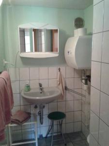 施塔特韦伦Wehlener Landhaus in Stadt Wehlen, Sächsische Schweiz的一间带水槽和镜子的小浴室