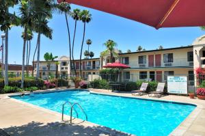 圣地亚哥Lamplighter Inn & Suites at SDSU的棕榈树度假村的游泳池
