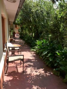 库斯科库酷利住宿加早餐旅馆的庭院配有桌椅和植物