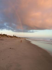 怀普Strathaven Bed and Breakfast的一只在海滩上用彩虹行走的狗