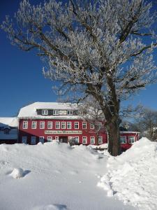 萨尔费尔德祖姆罗腾赫希瓦尔德酒店的红楼前的雪覆盖的树