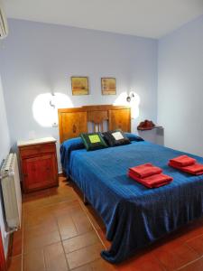 ZoritaCasa Rural La Perra Gorda的一间卧室配有一张带蓝色床单和红色枕头的床。
