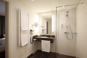 多特蒙德威特金德索夫公园酒店的带淋浴、盥洗盆和镜子的浴室