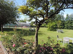 Saint-Branchs克德勒查尔住宿加早餐旅馆的花园中的一棵树,后面有火车