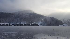 柯尼希斯湖畔舍瑙泽尔之家旅馆的雪中湖上的一群房子