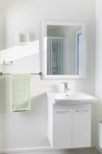 阿克雷里巴艾吉萨旅馆的白色的浴室设有水槽和镜子