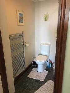 博斯卡斯尔Tregatherall Lodge的一间带卫生间和淋浴的浴室