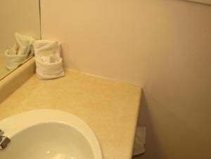 苏圣玛丽萨特莱特汽车旅馆的一间带卫生间的浴室和一个带镜子的柜台