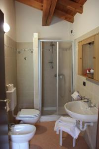 Gignod贝尔维尤酒店的带淋浴、卫生间和盥洗盆的浴室
