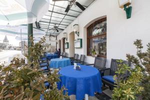 贝尔多夫德法乌酒店的一间设有蓝色桌椅的餐厅,种植了植物