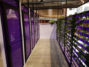 麦德林紫猴旅舍的鲜花和植物的走廊