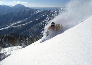 二世古二世谷度假旅馆酒店的一个人在雪覆盖的斜坡上滑雪