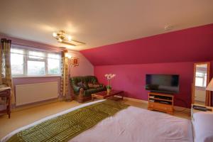 谢林汉姆Mount Lavinia的一间卧室设有紫色的墙壁、一张床和一台电视机。