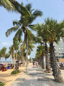 南芭堤雅塔莱景致公寓的海滩上一排棕榈树,有一座建筑