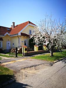 比克Kovács Vendégház的前面有一棵开花的树的房子
