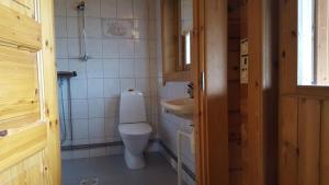 库斯塔维Spauna的一间带卫生间和水槽的小浴室