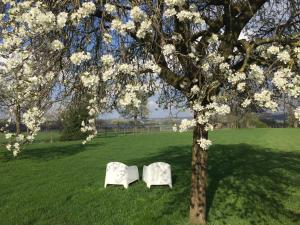 埃彭Apartment Top van Epen的两把白椅子坐在田野的树下