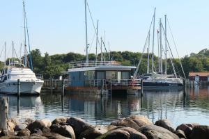 Kollund ØsterskovHausboot FJORDBLIK的停靠在码头的一组船