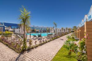 马斯帕洛马斯Hotel LIVVO Los Calderones - Adults recommended的一个带游泳池和棕榈树的度假村
