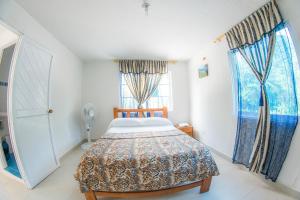 普罗维登西亚Posada Mango Tree的一间卧室设有一张床和两个窗户。