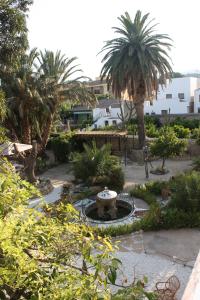 Xerta西丽敏亚斯之家酒店的一个带喷泉和棕榈树的花园