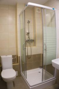 密古雷休治Hotel Merkur的带淋浴、卫生间和盥洗盆的浴室