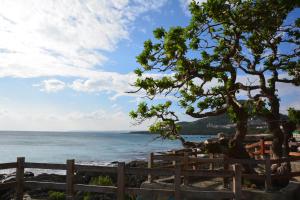 鹅銮鼻垦丁船帆石风尚会馆 的海边的树