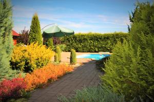 弗林布尔克Vila Lipno的一个带游泳池和遮阳伞的花园