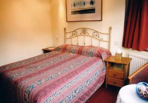 埃普瑟姆绝品公园酒店的一间卧室配有一张大床,铺有红蓝毯子