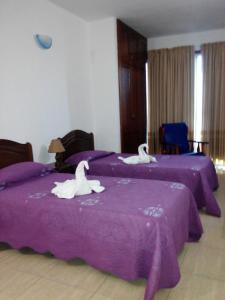 拉雷斯廷加Apartamentos Los Saltos的两张床铺,位于酒店客房内,配有天鹅
