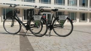 维尔茨堡布卡拉瑞希豪斯圆顶会议中心旅馆的两辆自行车停在大楼前